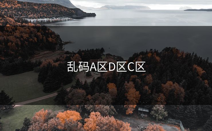 乱码A区D区C区